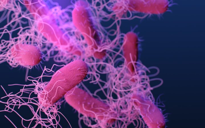 Decorative post preview