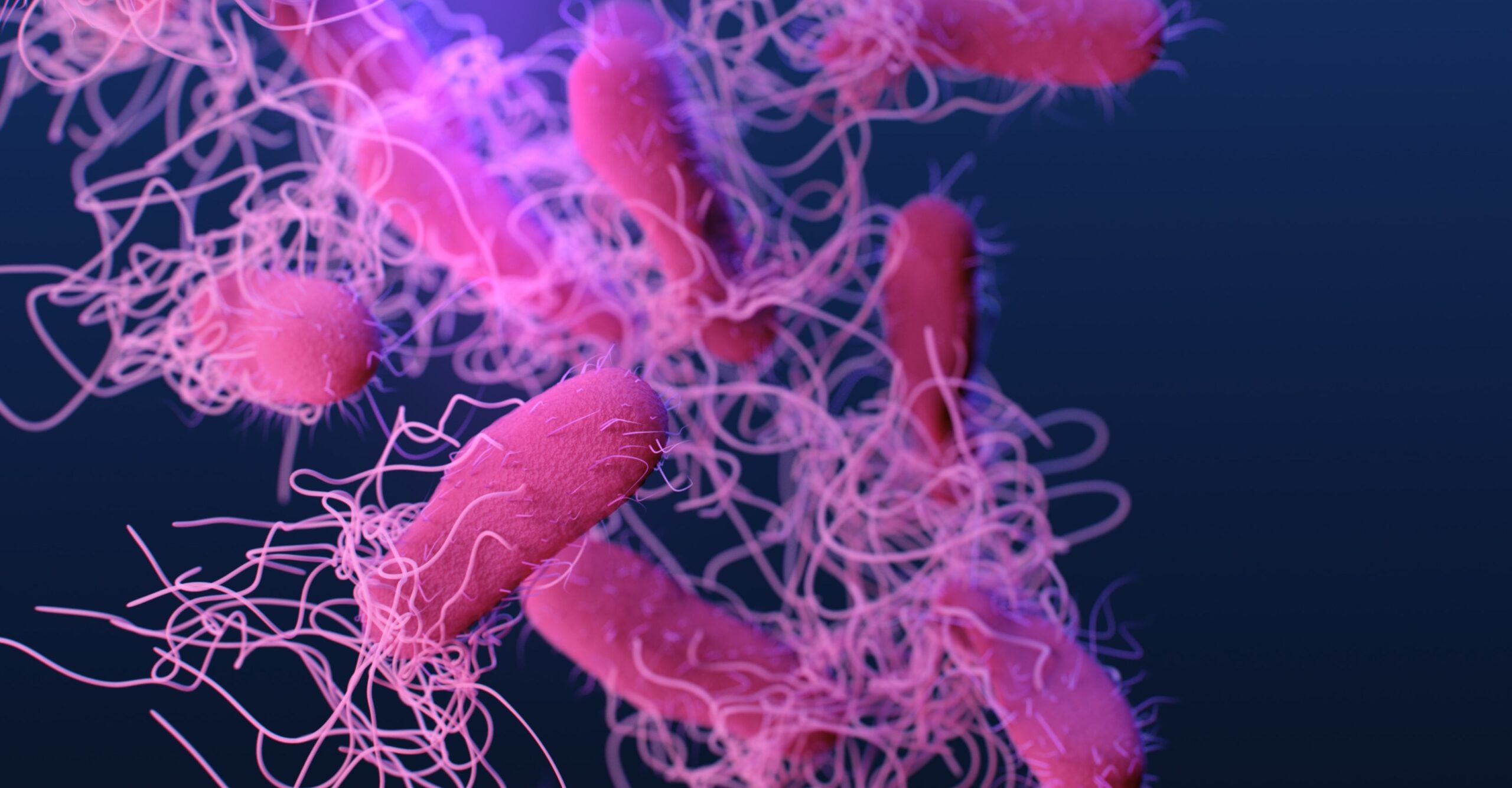 Decorative post preview